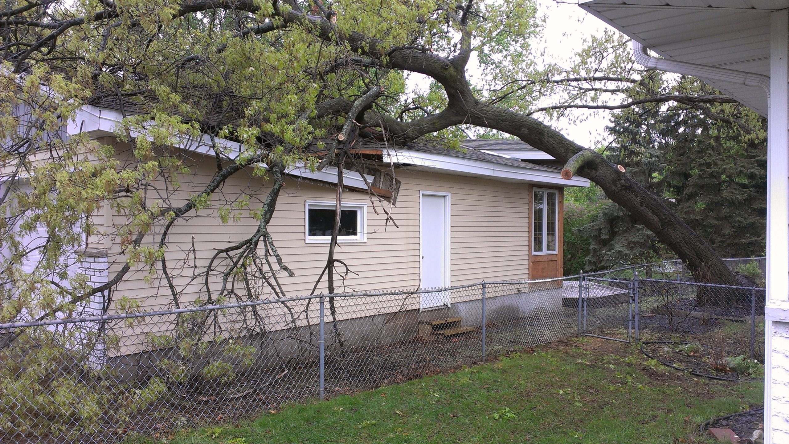 VIDEO Tree falls on house just 24 hours after closing Hoodwinked House
