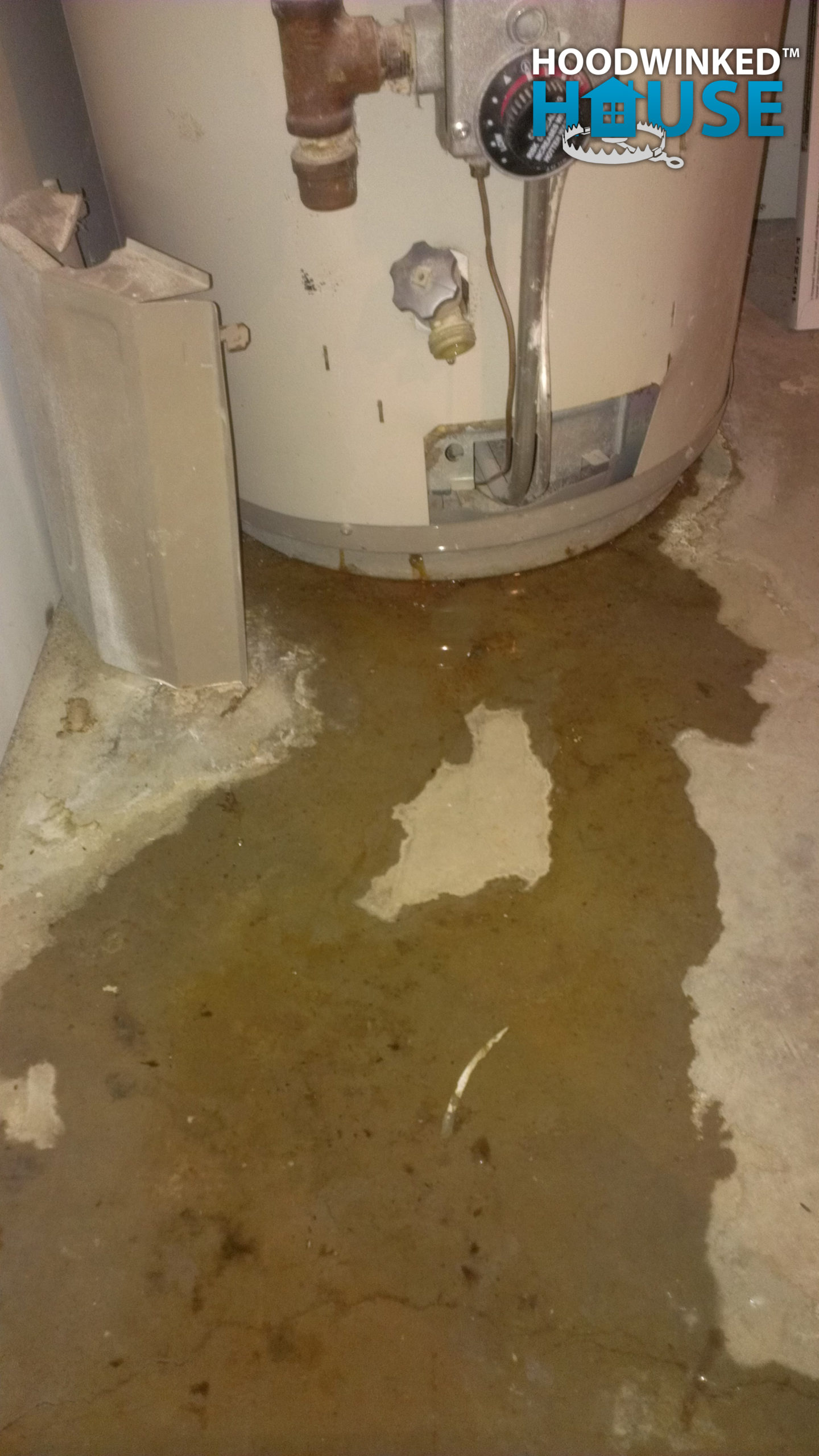 Water puddles around the base of a leaking water heater tank.