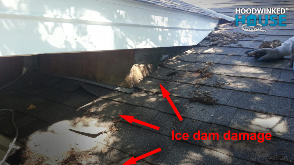 Shingles damaged by ice dams.